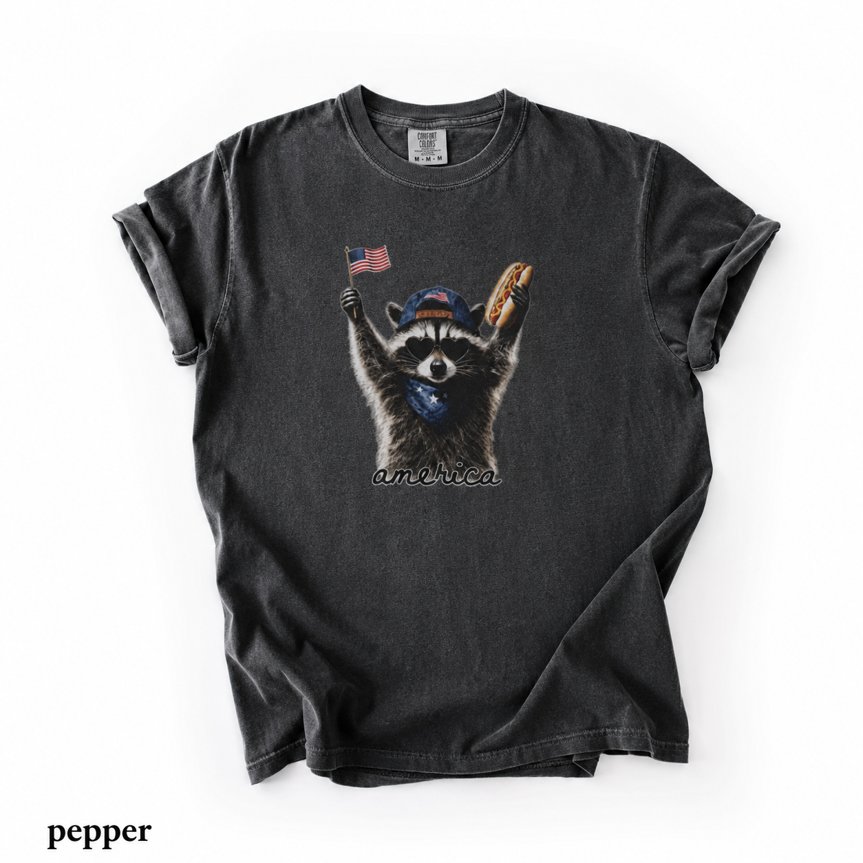Patriotic Raccoon T-Shirt — Cute USA Flag & Hot Dog Graphic for 4th of July